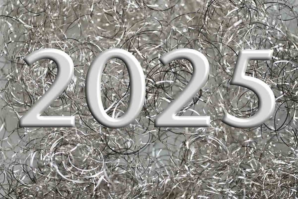 Capodanno 2025 nelle Marche concerti