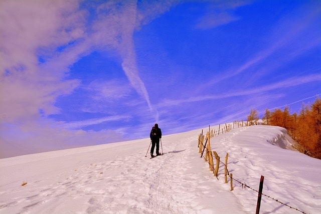 Passeggiate invernali